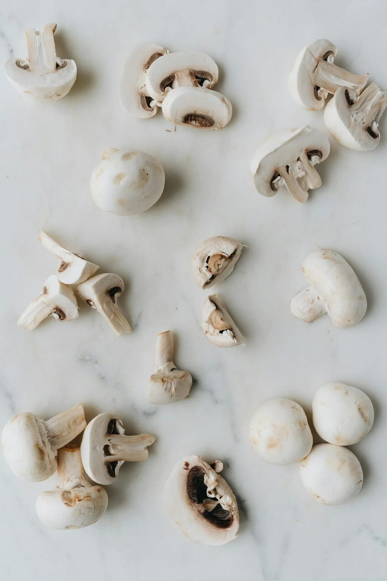 Wild mushrooms photographed in their natural habitat